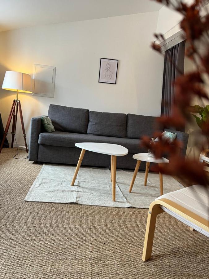 Apartamento Loft Cosy - Centre Historique Climatise Revel  Exterior foto